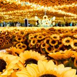 北京看展｜梵高的向日葵