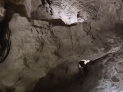 -中国西峡恐龙遗迹园
