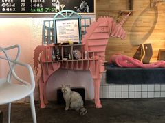 -喵屿·大理花园猫咖