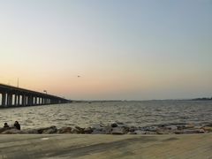 -宝安西湾红树林湿地公园