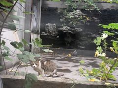 -御花园·粤菜·海鲜火锅(中山公园店)