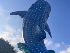 -珠海长隆海洋王国