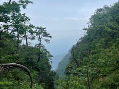-峨眉山风景名胜区