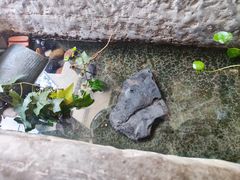 -花迹(富春江东街店)