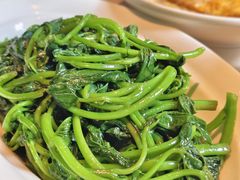 -芙蓉堂(武汉天地店)