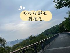 -金鸡山公园