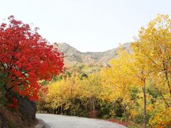 -北京鹫峰国家森林公园