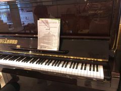 -乐尚音乐空间·钢琴·声乐·架子鼓(会展中心店)