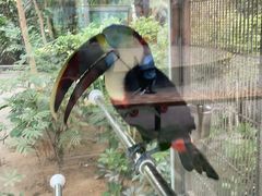 -南宫五洲植物乐园