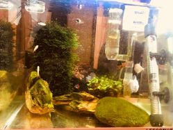 -椿树下·Tattoo纹身工作室