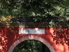 -灵谷景区