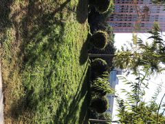 -火箭台球俱乐部(经三路店)