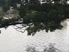 -江心屿景区