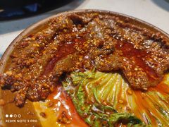 -青年火锅(吾悦广场直营店)