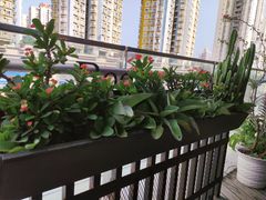 -西西弗书店&矢量咖啡(来福士广场店)