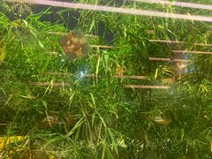 -莲餐厅·湖北菜·藕汤老手艺(愚园路店)