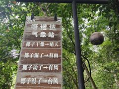 -呀诺达热带雨林
