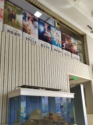 -爱儿美儿童摄影(五路居花园别墅店)