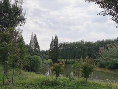 -南湖湿地公园