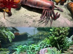 -浙江自然博物院(杭州馆)