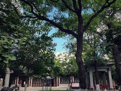 -护国法轮寺