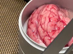 -晓沸牛肉海鲜小火锅(白湖亭万达广场店)