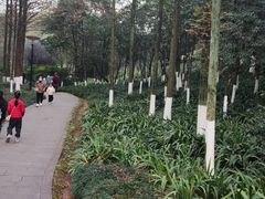 -重庆彩云湖湿地公园