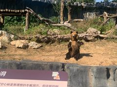 -武汉动物园