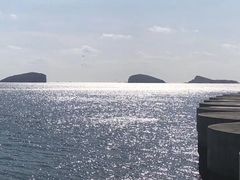 -棒棰岛宾馆景区