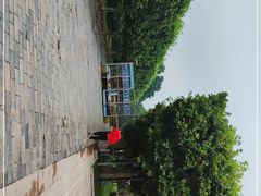 -郑州植物园