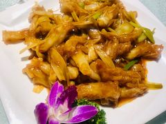 葱烧蹄筋-好妈王饺子(滂江街店)
