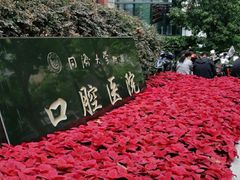 -同济大学附属口腔医院