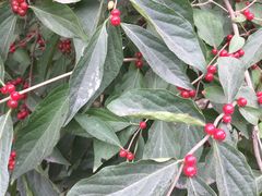 -北京丽景湾国际酒店