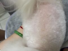 -小伙伴宠物医院·CT·骨科·眼科(高新店)