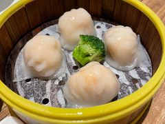 -粤港餐厅(禹州商业广场店)