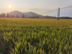 -上海佘山国家森林公园天马山园