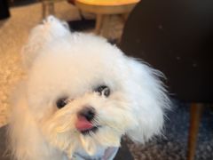 -星巴克臻选(杭州良渚文化村店)