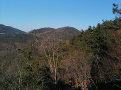 -四明山国家森林公园