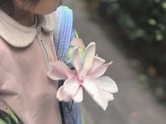 -懒鱼时光馆(沙坪坝店)