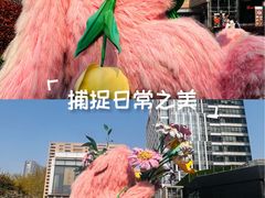 -中海环宇荟
