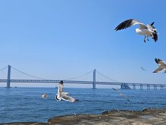 -星海广场