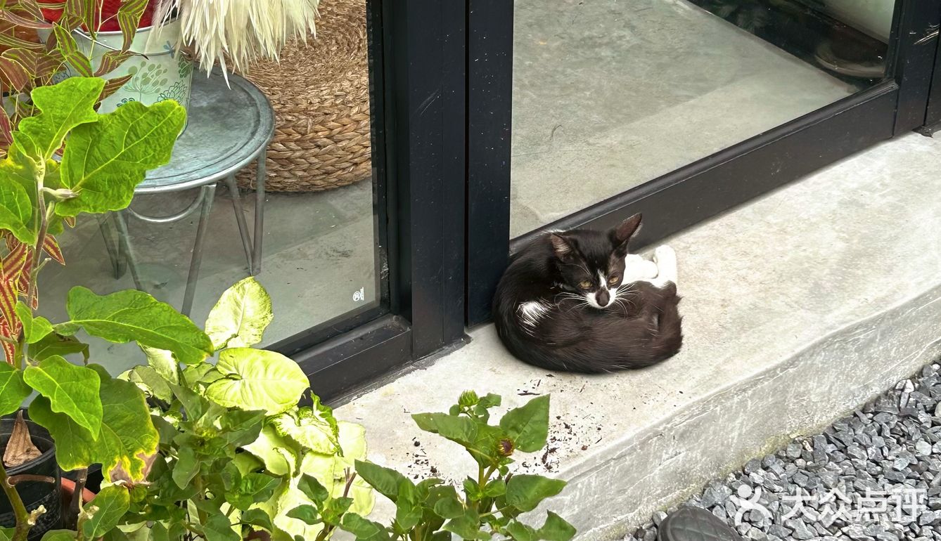 在花都，发现了日本的夏天🎐