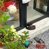 在花都，发现了日本的夏天🎐