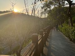 -小南山公园
