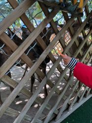 -萌宠亲子动物乐园(槐房万达店)