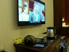 -维也纳酒店(广州番禺市桥地铁站店)