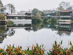 -荔湾湖公园