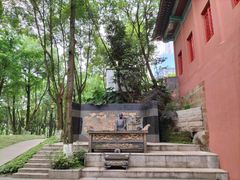 -重庆市江北嘴中央商务区中央公园