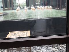 -上海崇明金茂凯悦酒店