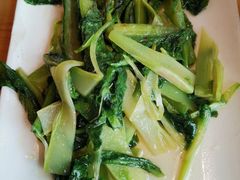 时令蔬菜-兔行天下-鸿鹤鲜锅兔(中海国际店)